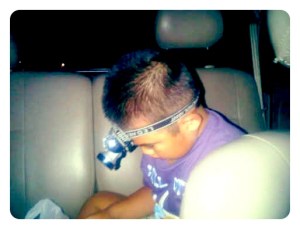 Pencari Makanan Dalam Gelap